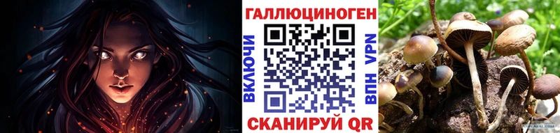 где купить наркоту  Кызыл  Галлюциногенные грибы прущие грибы 
