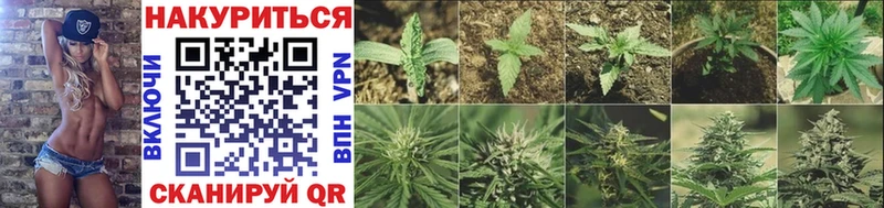 Бошки Шишки OG Kush  мега как войти  Кызыл 
